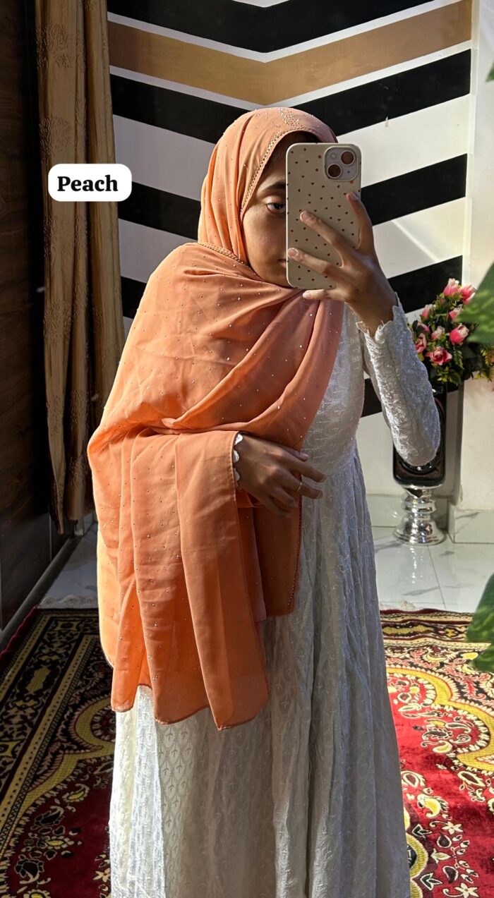 IMG-20241012-WA0020-700x1273