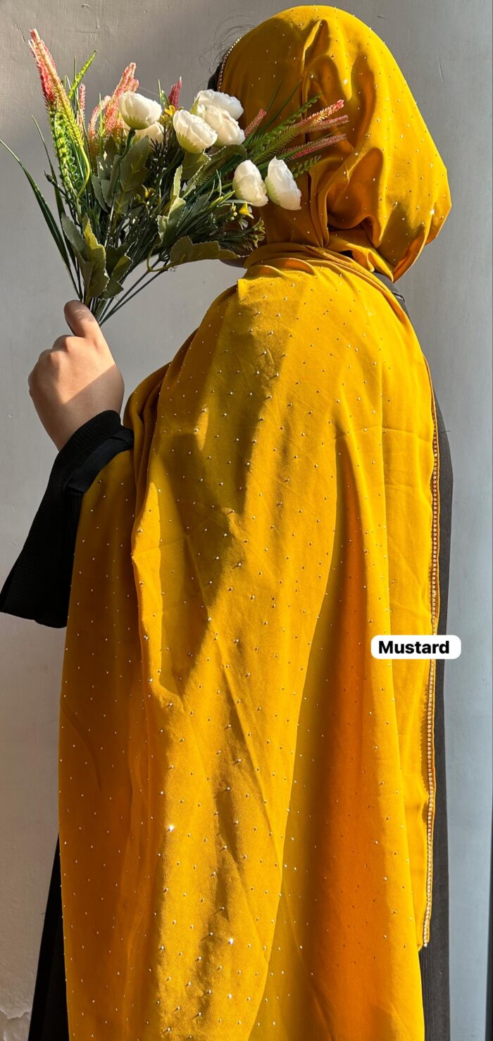 WhatsApp-Image-2023-12-14-at-2.04.22-PM-3-700x1478