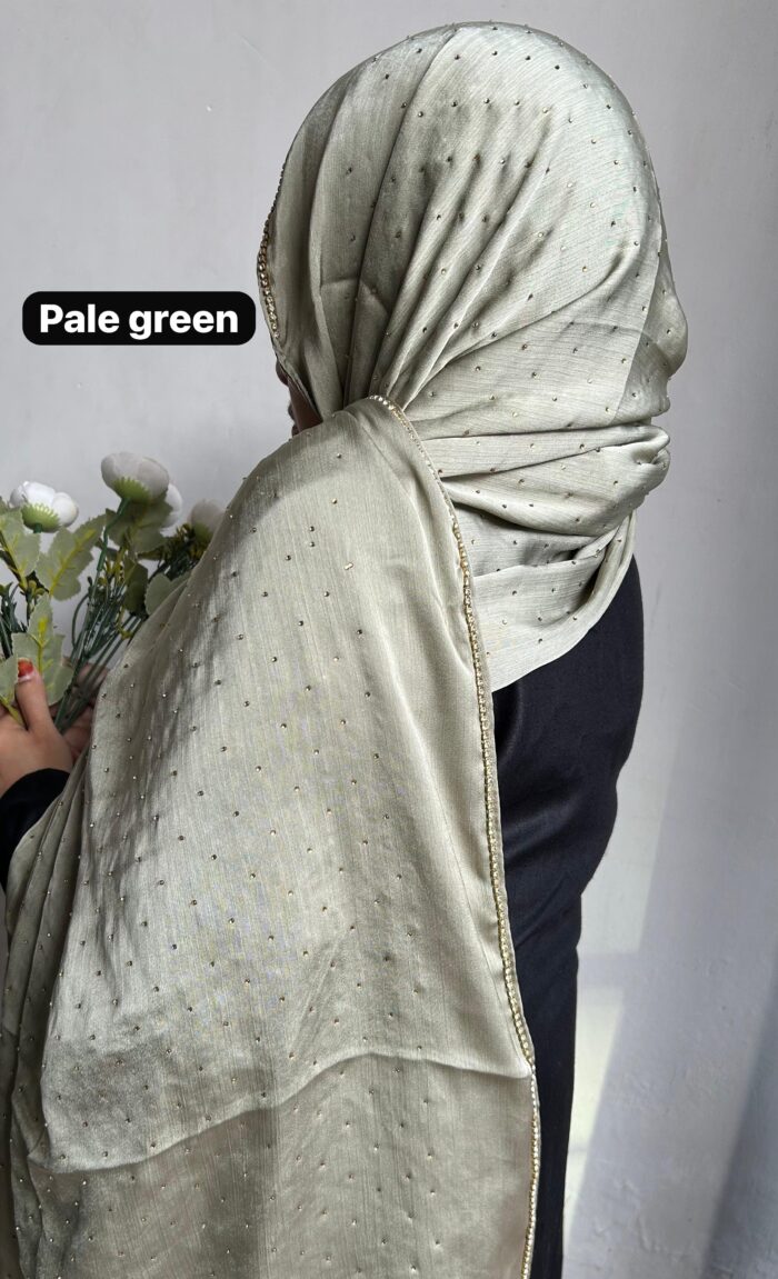 WhatsApp-Image-2024-03-08-at-6.14.51-PM-700x1151