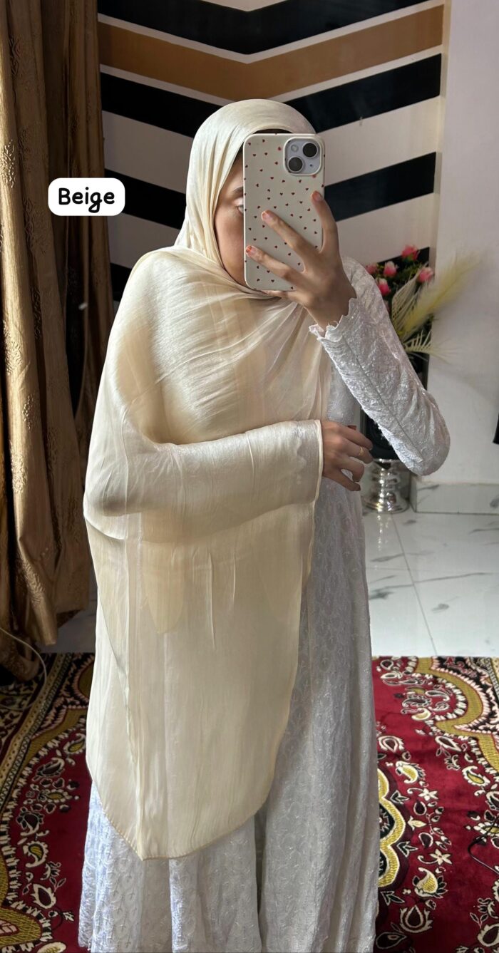 WhatsApp-Image-2024-06-29-at-5.58.47-PM-1-700x1337