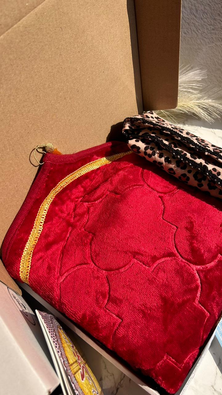 WhatsApp Image 2026-02-21 at 19.41.36 (1)